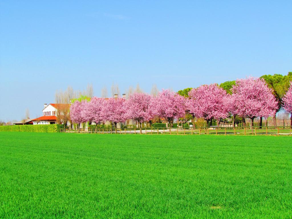Agriturismo Le Cipressine Meolo Exterior foto